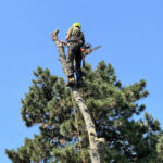 kertfenntartas-partnerekkel-3