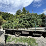 kertfenntartas-szolgaltatasok-1