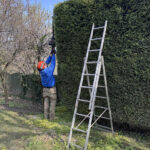 kertfenntartas-szolgaltatasok-2