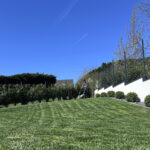 kertfenntartas-szolgaltatasok-3