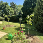 kertfenntartas-szolgaltatasok-4