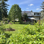 kertfenntartas-szolgaltatasok-5