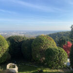 kertfenntartas-szolgaltatasok-7