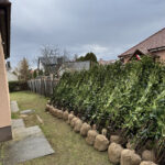 kertfenntartas-szolgaltatasok-8